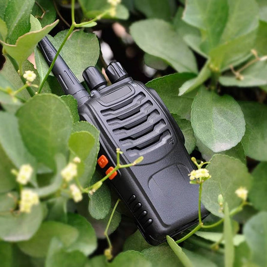 talkies walkies dans herbe
